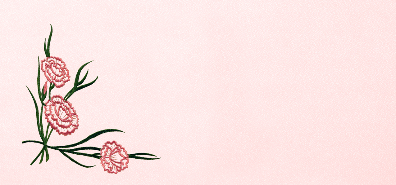 P 505 PK PK Carnation Pink Pink